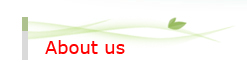 about us