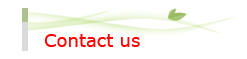 contact us